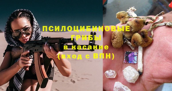 шишки Волосово